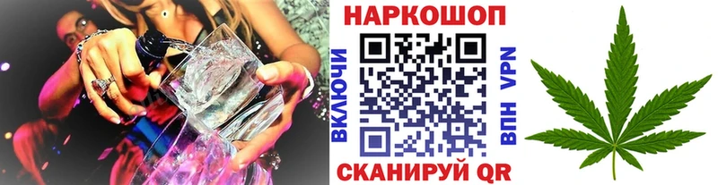 Где продают наркотики Белая Холуница Cocaine  Псилоцибиновые грибы  МАРИХУАНА 