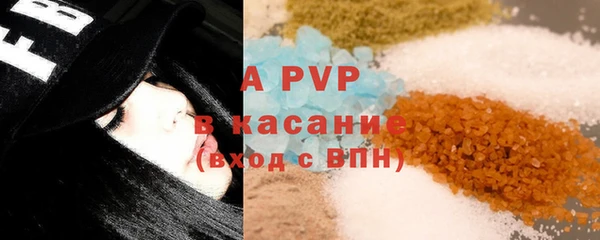 молекула духа Богданович