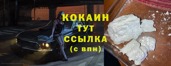 шишки Горнозаводск